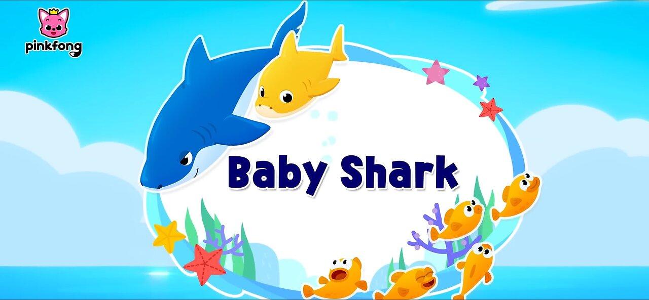 Baby Shark Songs   +Animal Songs