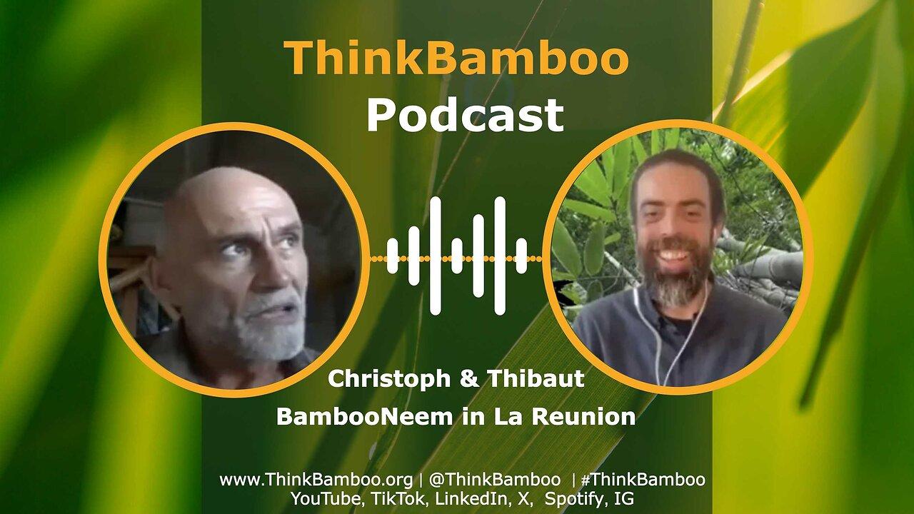 🎧 Bamboo Pergola: BambooNeem, La Reunion #ThinkBamboo 🎋