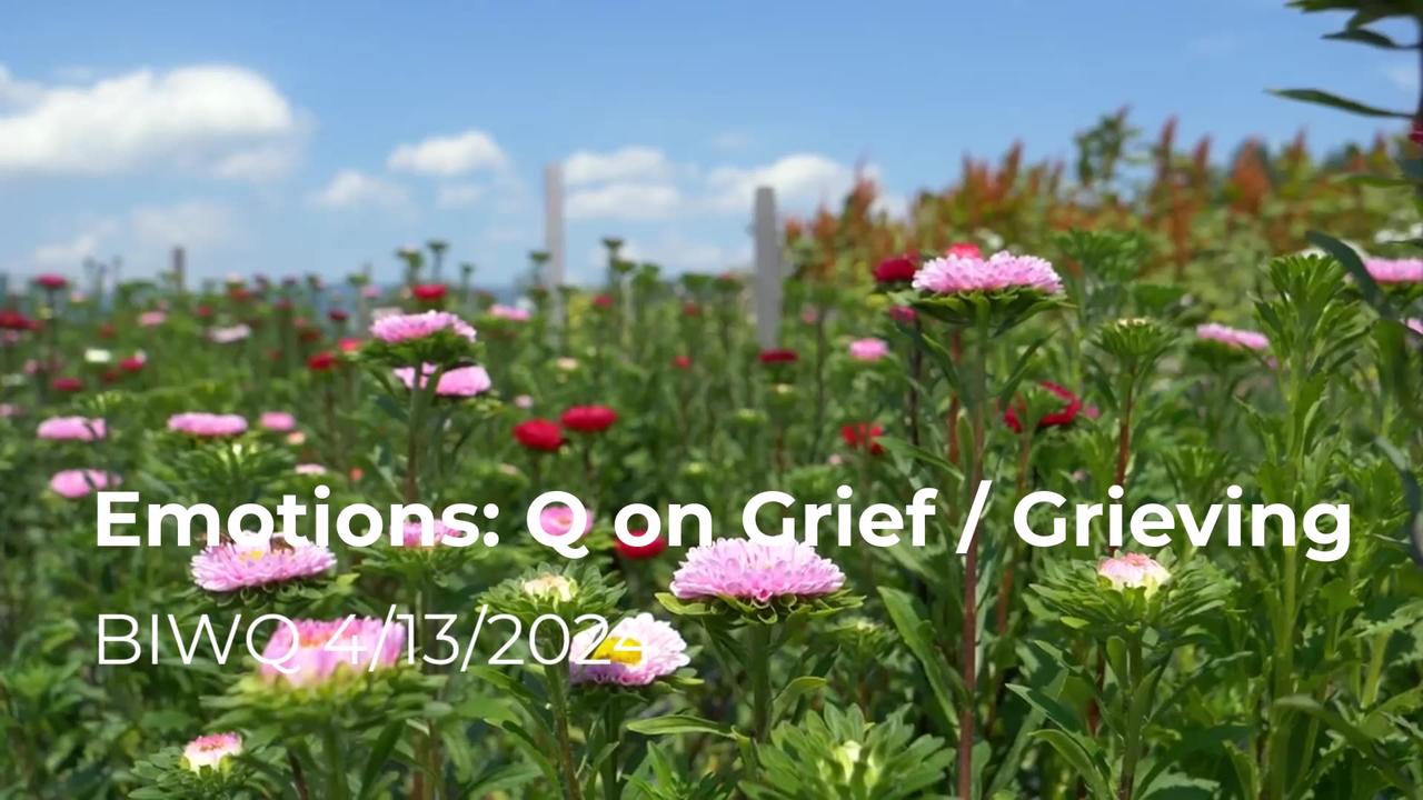 Emotions Q on Grief Grieving 4/13/2024
