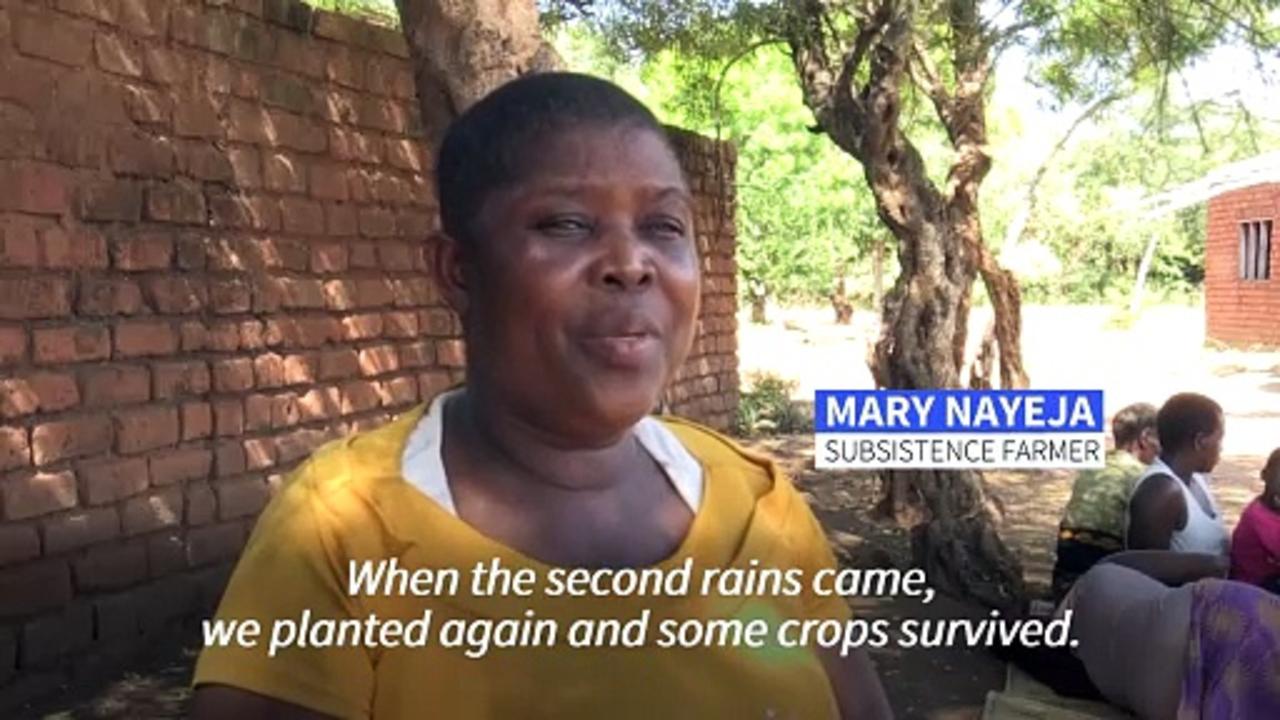 Millions face hunger in Southern Africa as El Nino devastates crops