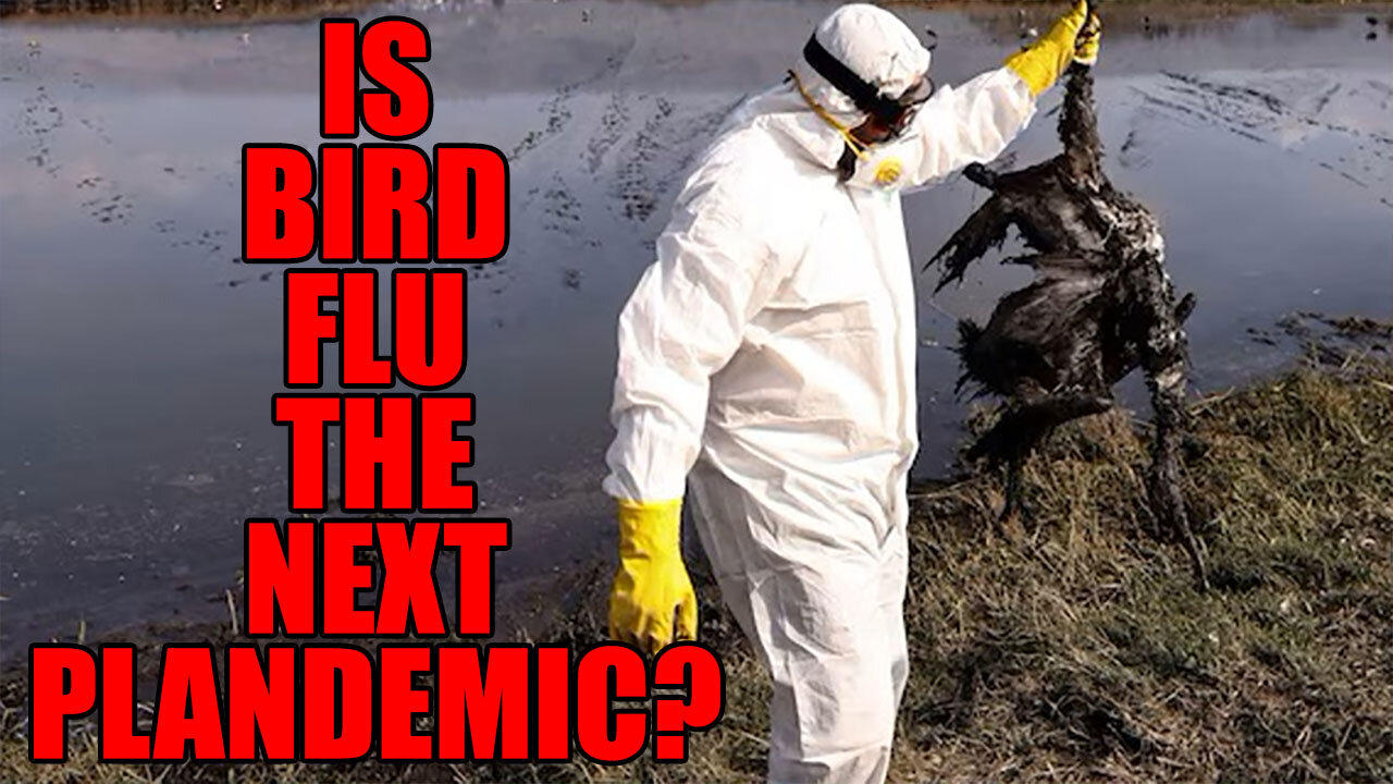 Is Bird Flu The Next Pandemic? Evening Rants With Marc And Alan