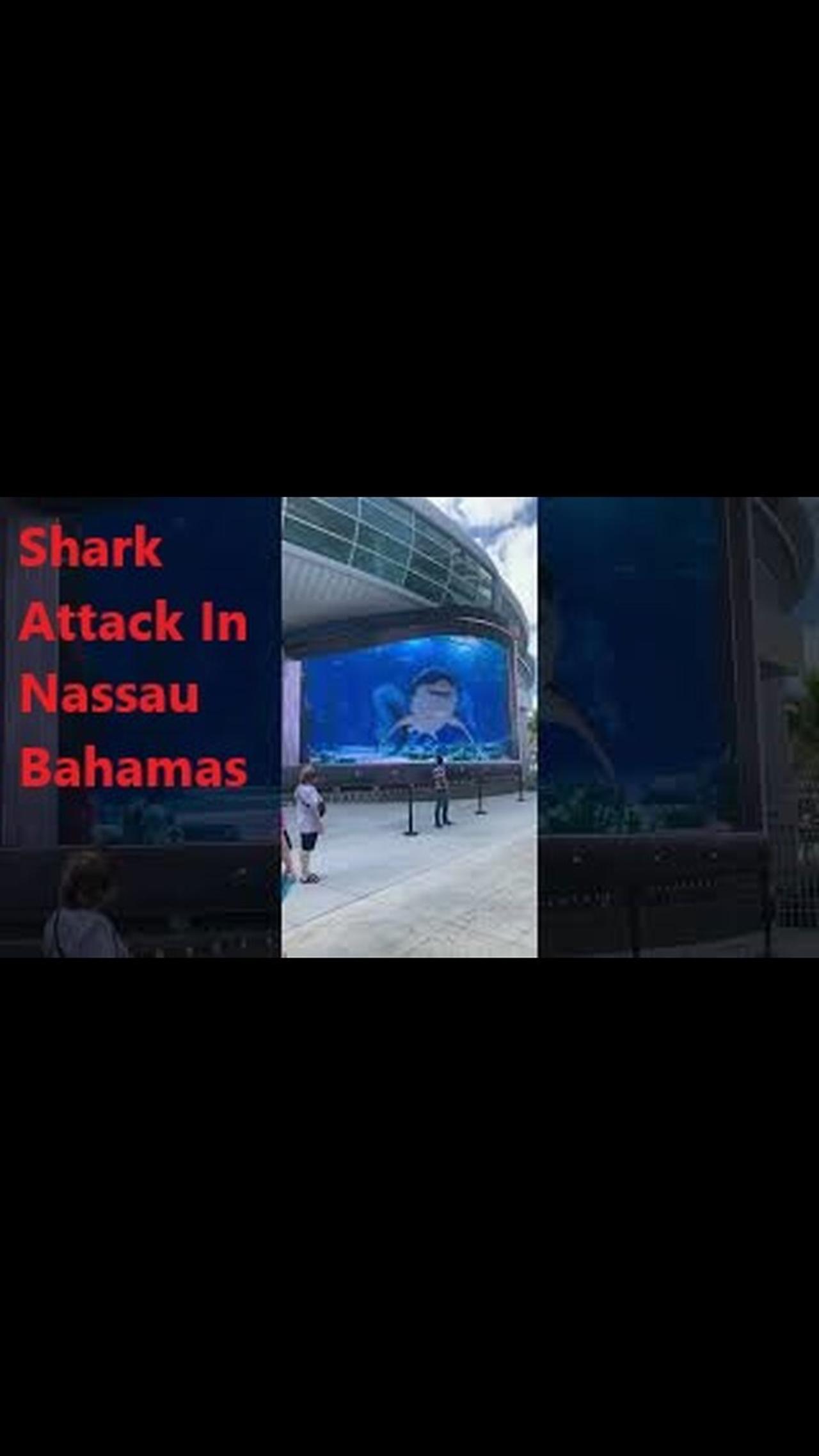 Shark Attack In Nassau Bahamas