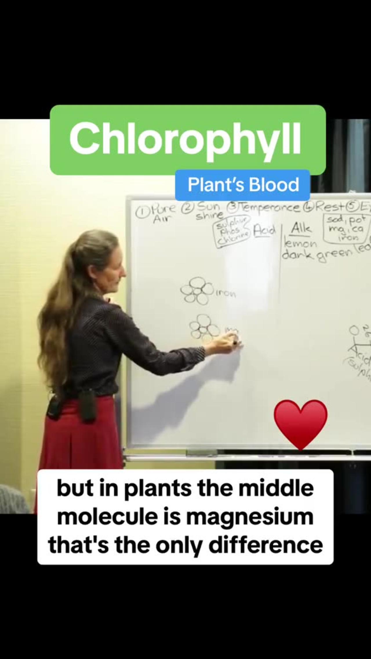 Chlorophyll - Leafy Greens