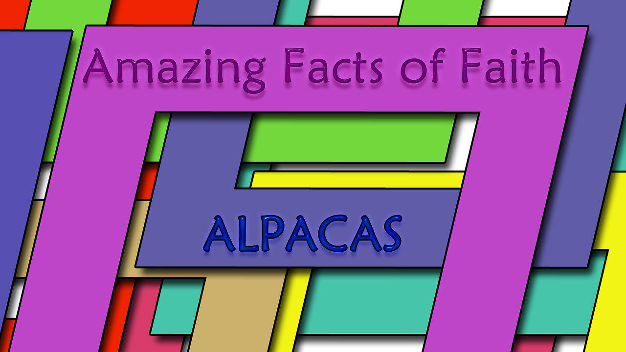 Amazing Facts Of Faith ~ Alpacas