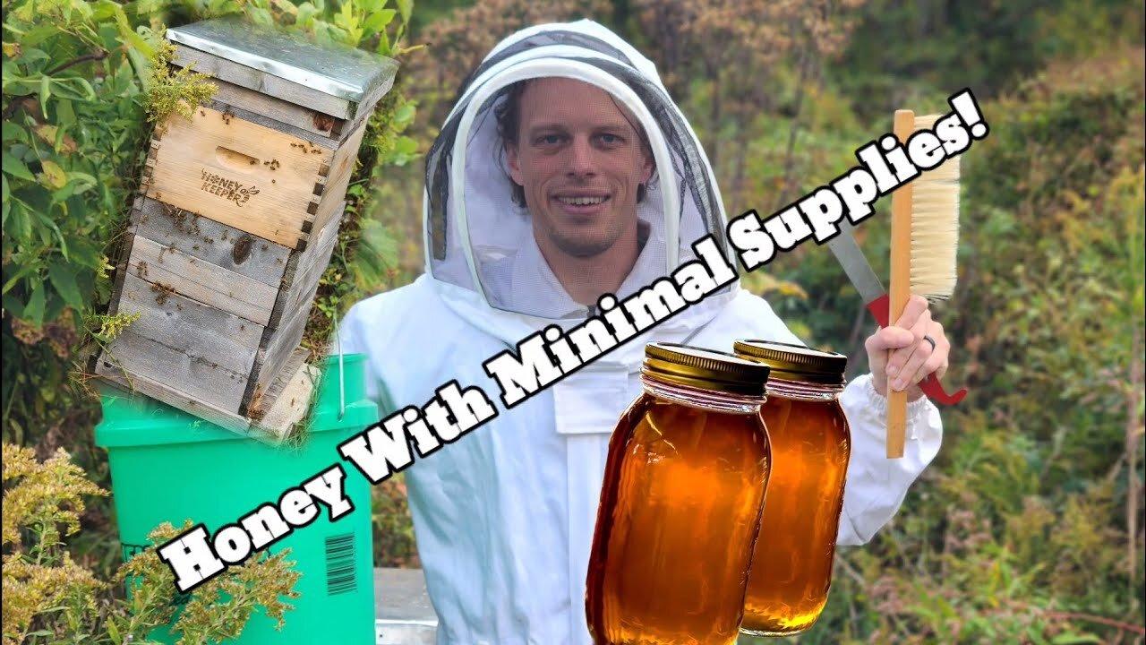 How to Harvest Honey Without Fancy Equipment