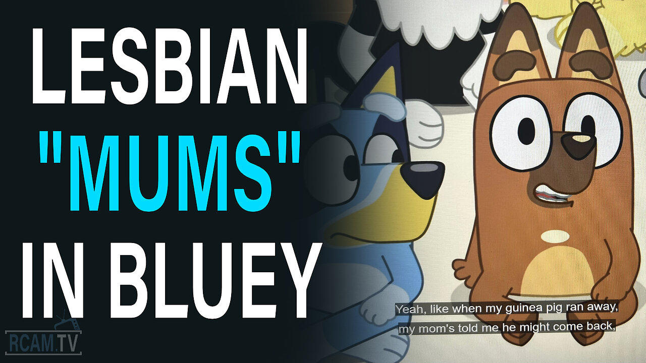 Did Bluey introduce its first LGBT+ couple?