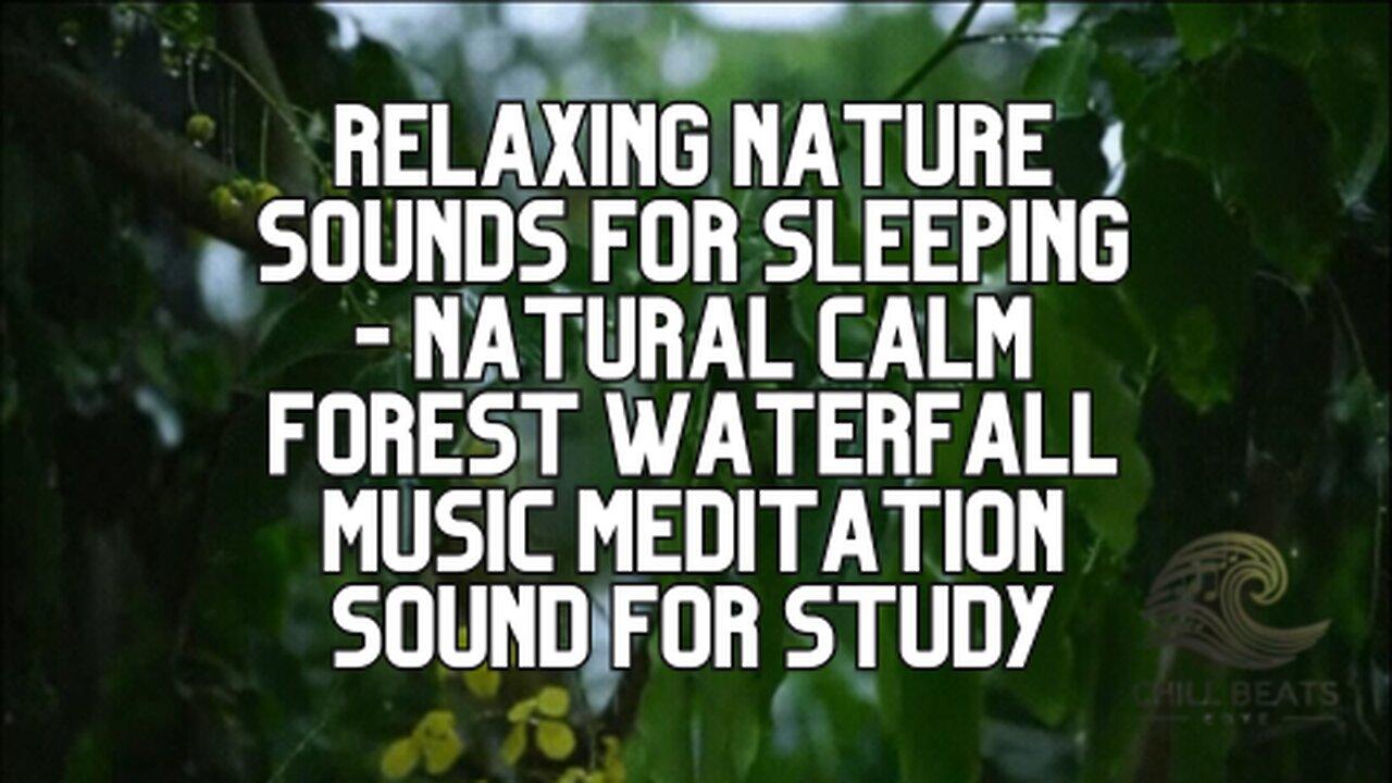 24/7 Relaxing Nature Sounds for Sleeping - Music Meditation Sound for Study