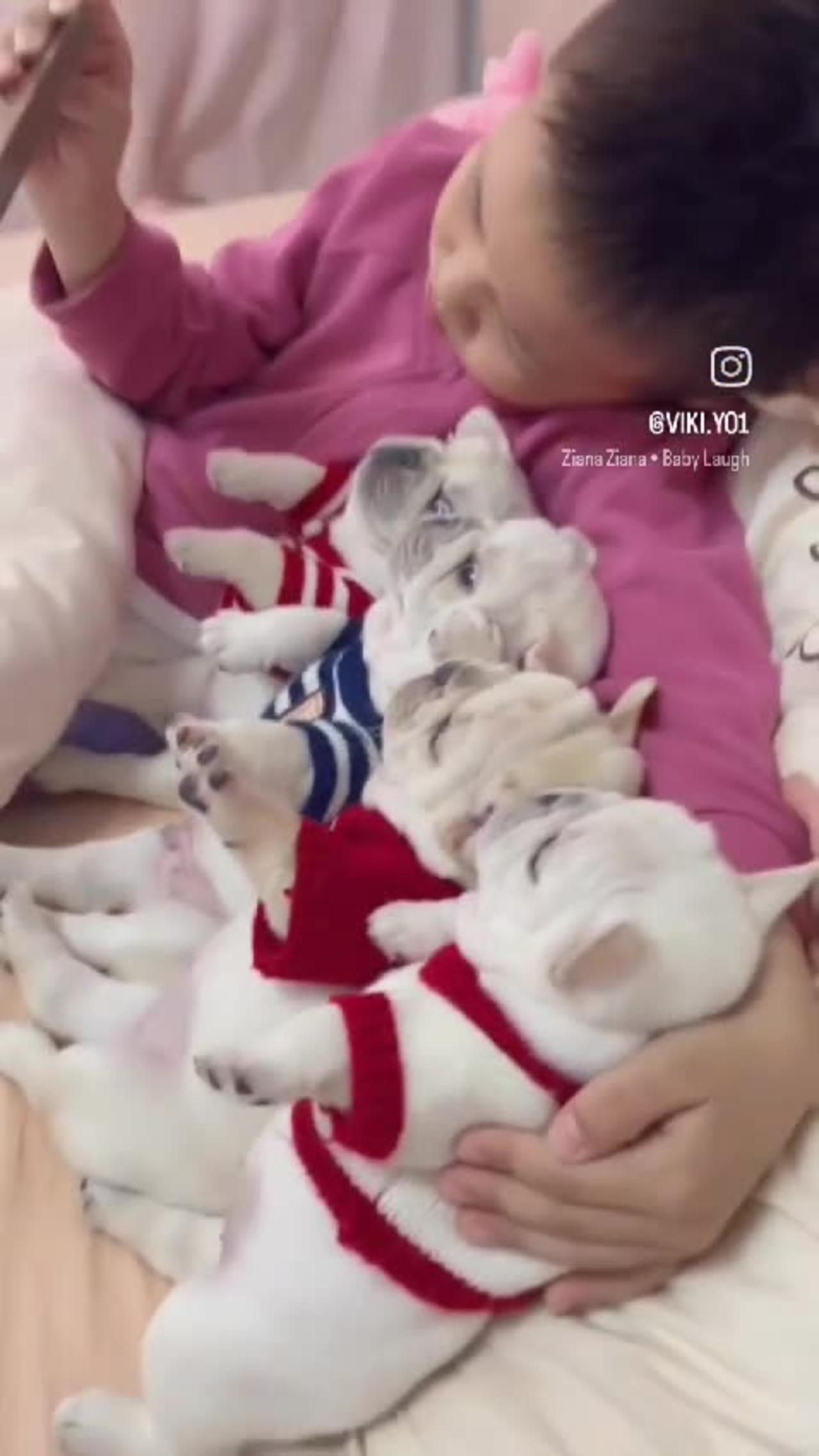 Cute baby watch video with puppies