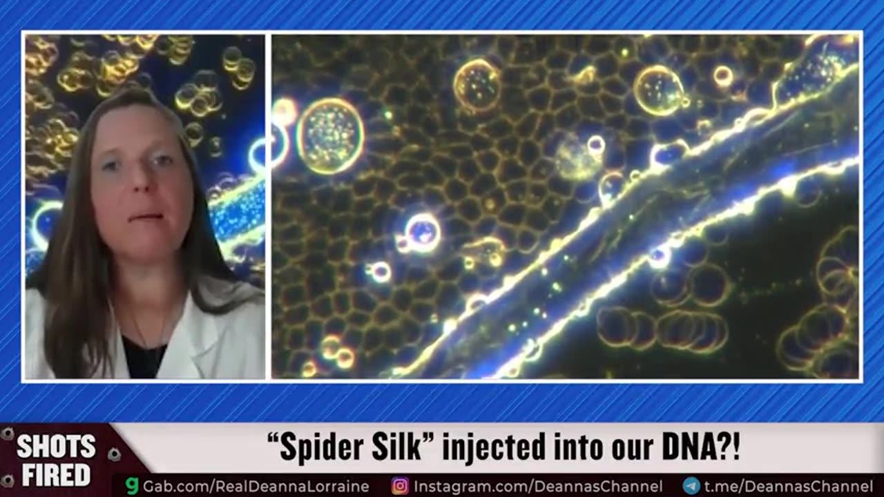 Spider Silk being Injected into Human DNA