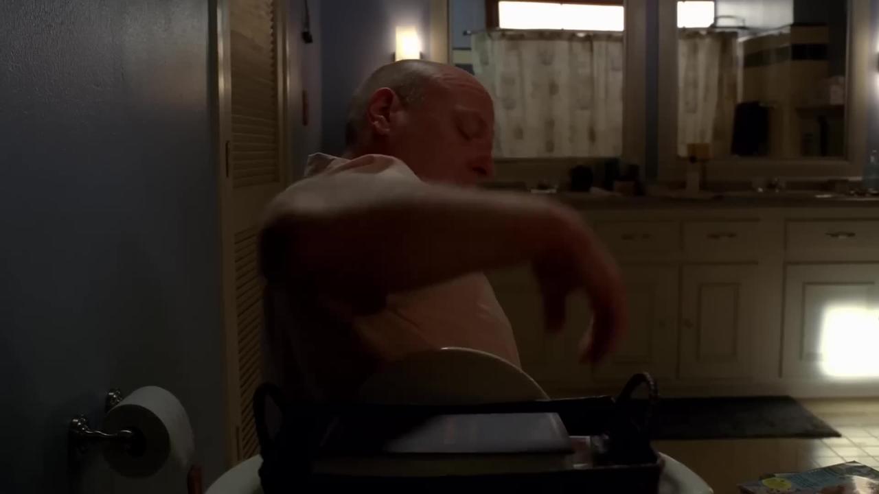 Walt stops Hank from finding out