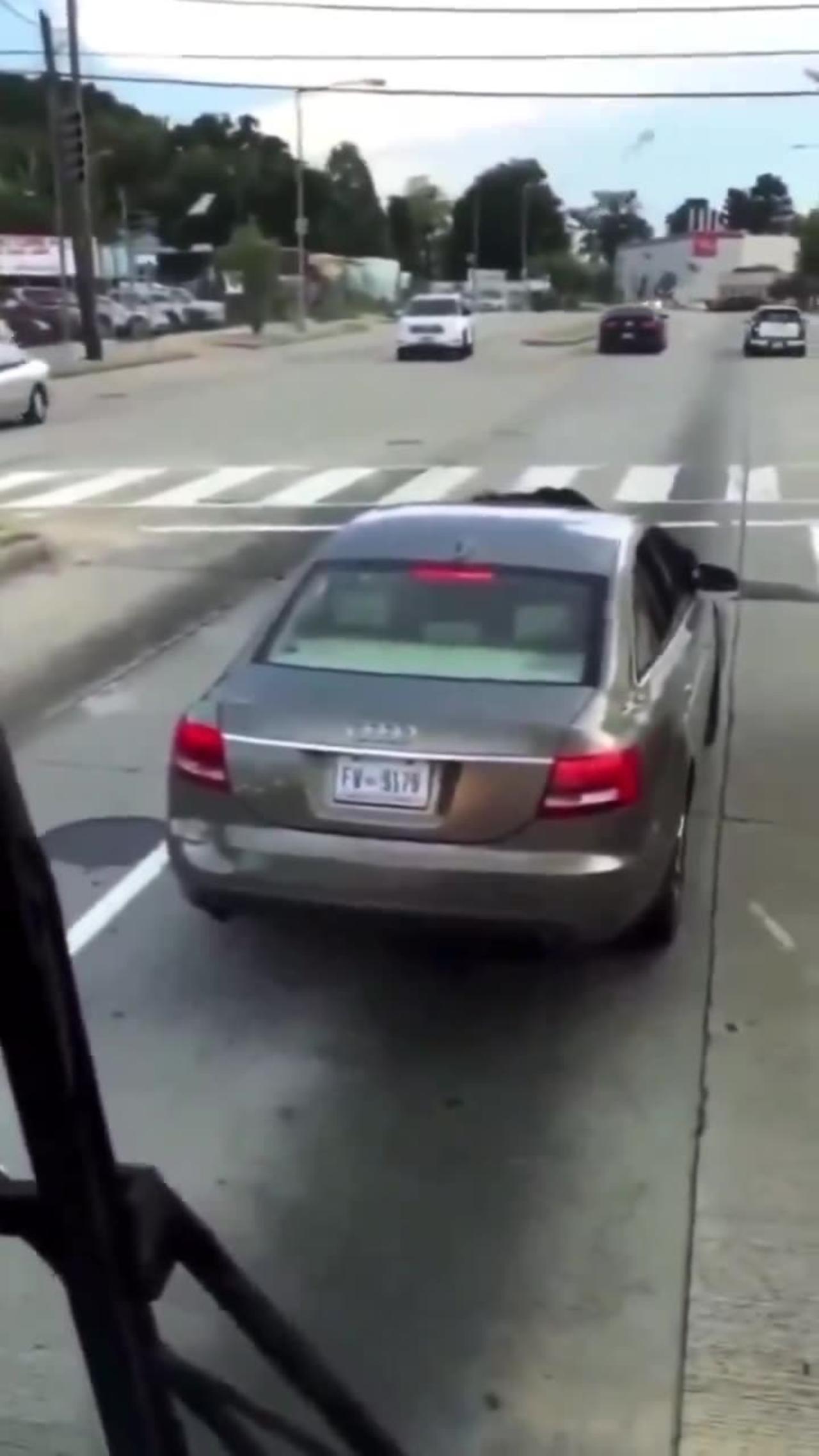 woman is Bat sh*t crazy she destroys the bus and hits the driver twice with her car.