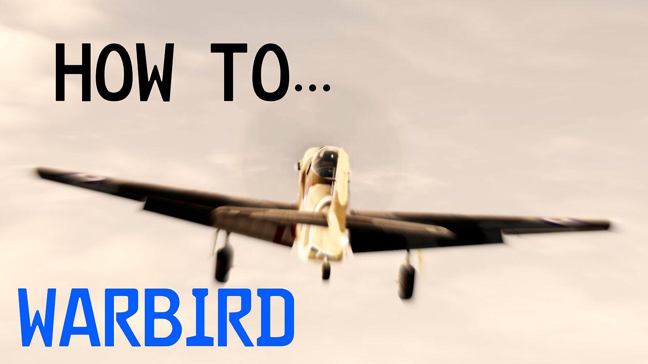 DCS - How to WARBIRD