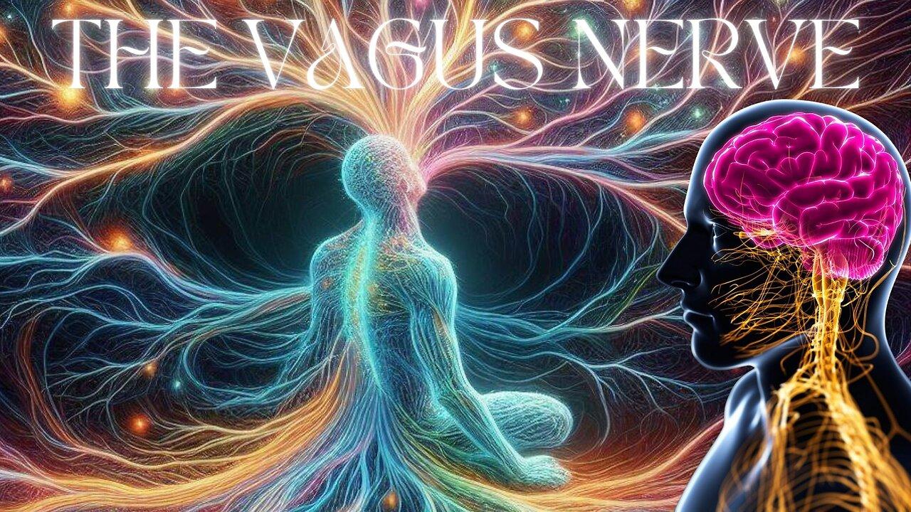 The Vagus Nerve and The Wanderer.