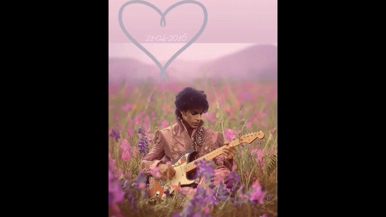 Remembering Prince: Eight Years Later
