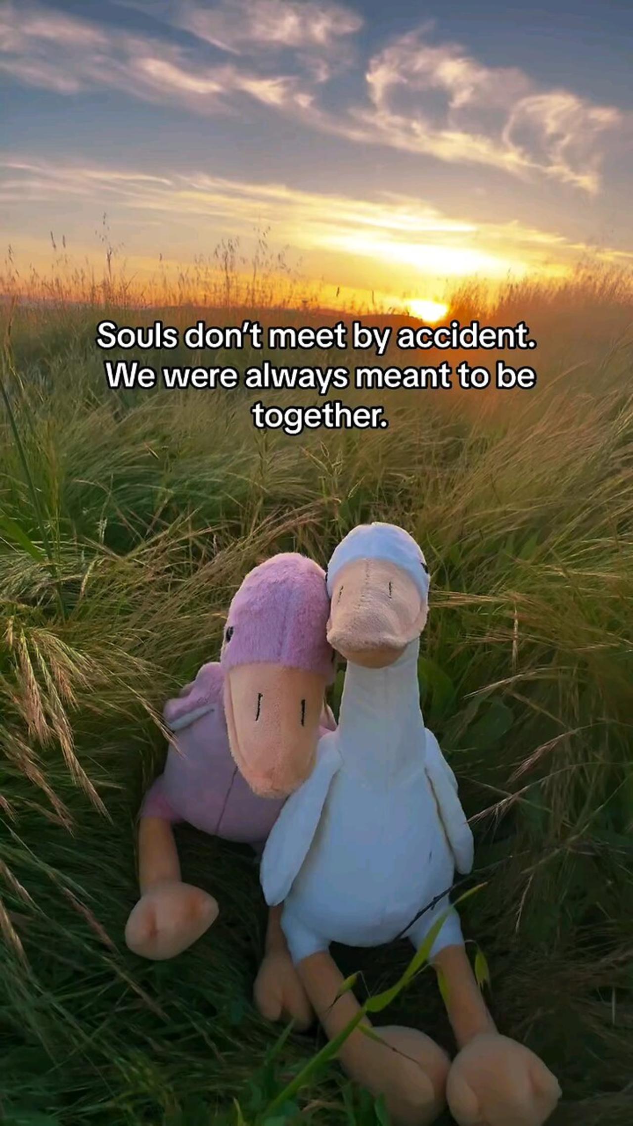 souls don’t meet by accident. we were always meant to be together.