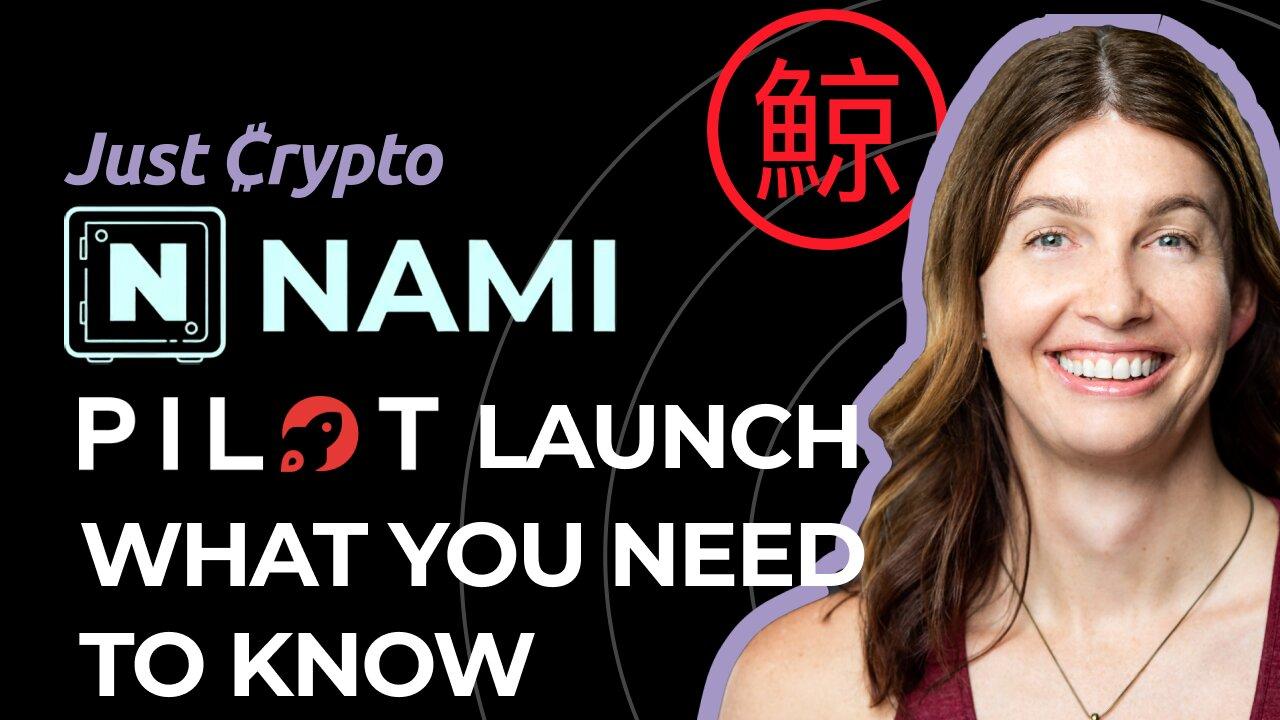 Everything you need to know about NAMI Protocol for the upcoming Pilot launch