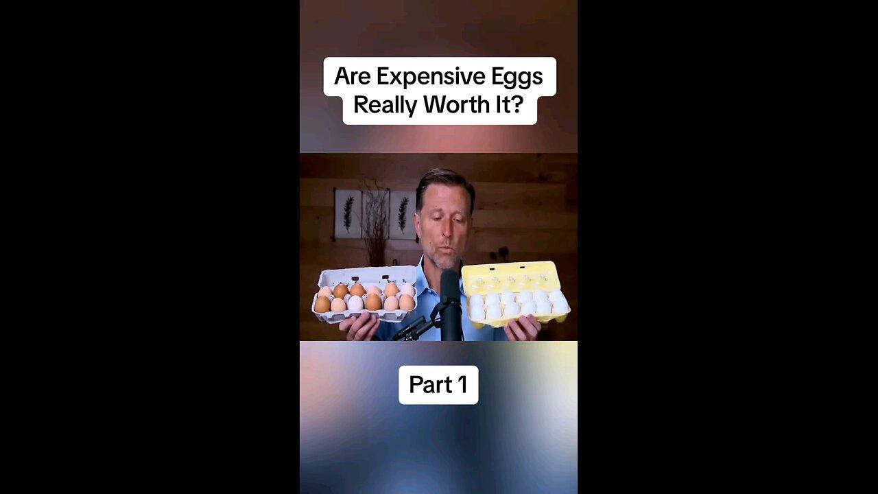 MUST WATCH!!Find out the best Egg to buy