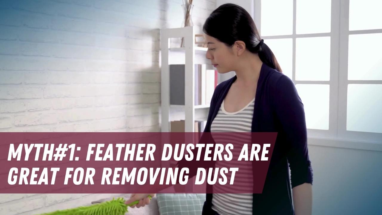 BUSTING THE MYTHS: WHAT YOU REALLY NEED TO CLEAN (AND WHAT YOU DON’T)
