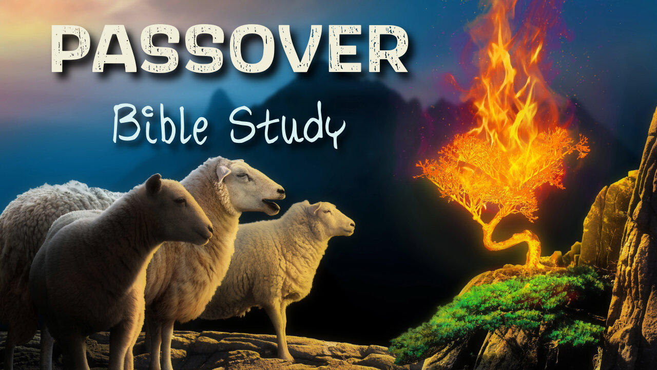 Passover (Pesach) Scripture Reading - LIVE Q&A