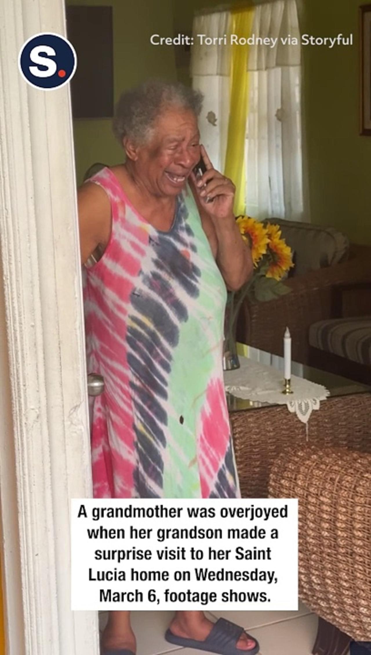 Grandma Delighted When Grandson Makes a Surprise Visit