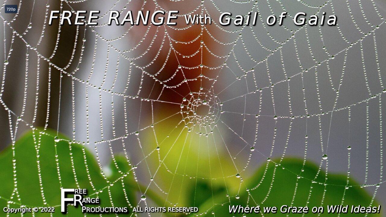 "The Spider Chronicles Part 1" With Rainetta Jones & Gail of Gaia on FREE RANGE