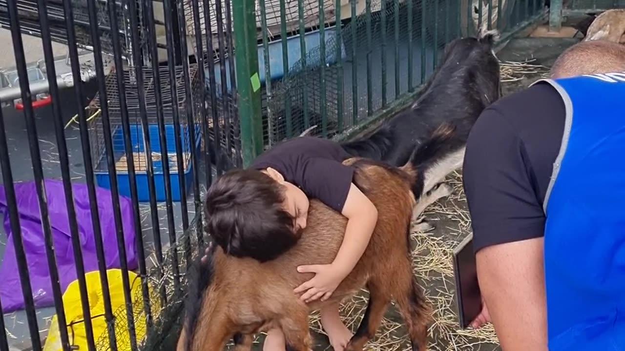 My Autistic Son's Incredible Friendship with Goat Goes Viral! 🌟🐐