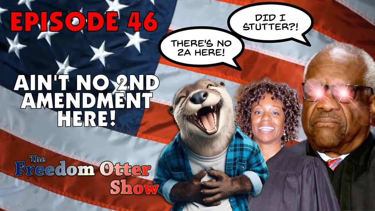 Episode 46 : Ain't No 2nd Amendment
