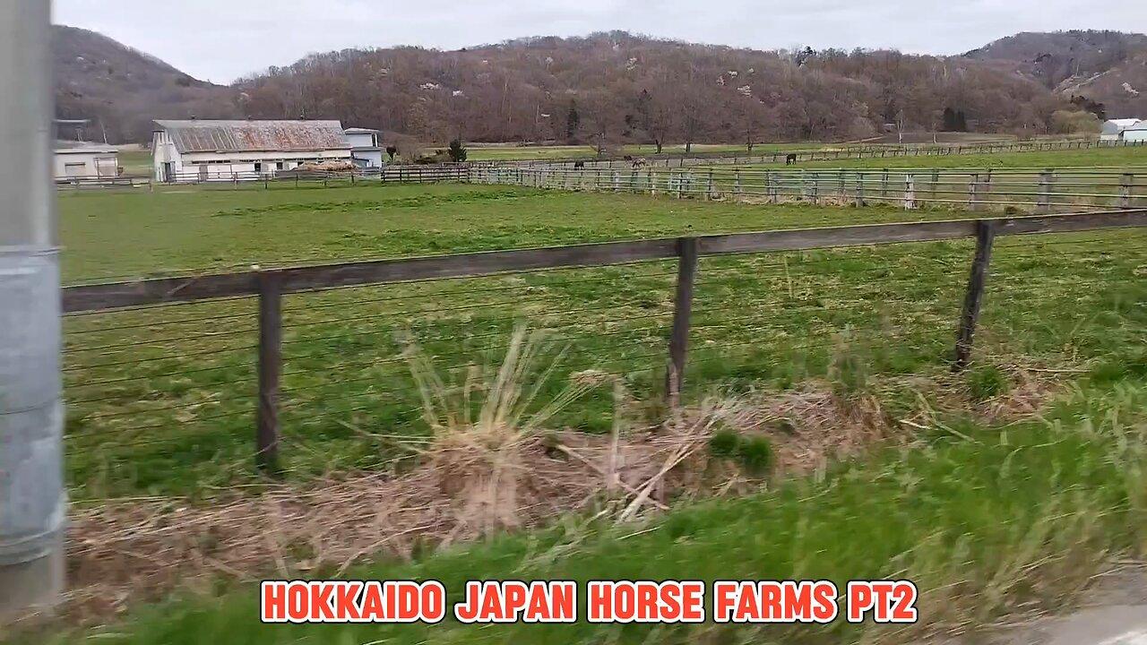 Hokkaido japan horse farms