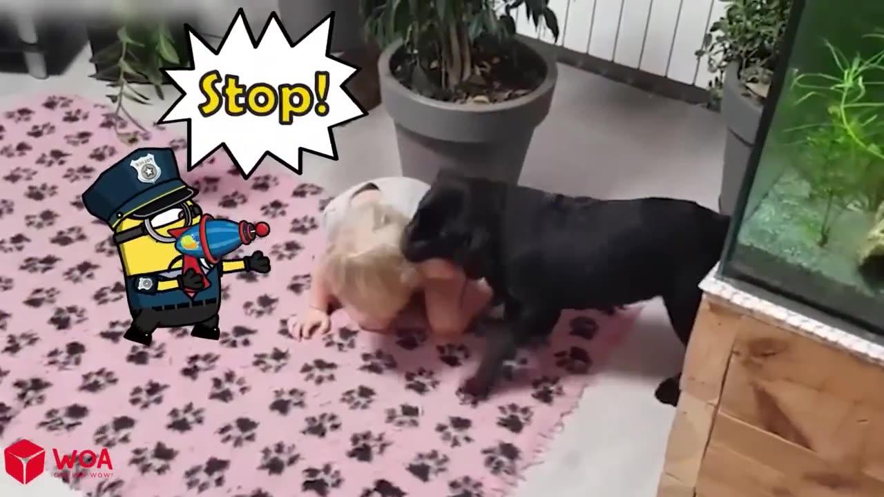 Funny Animal Videos with Children