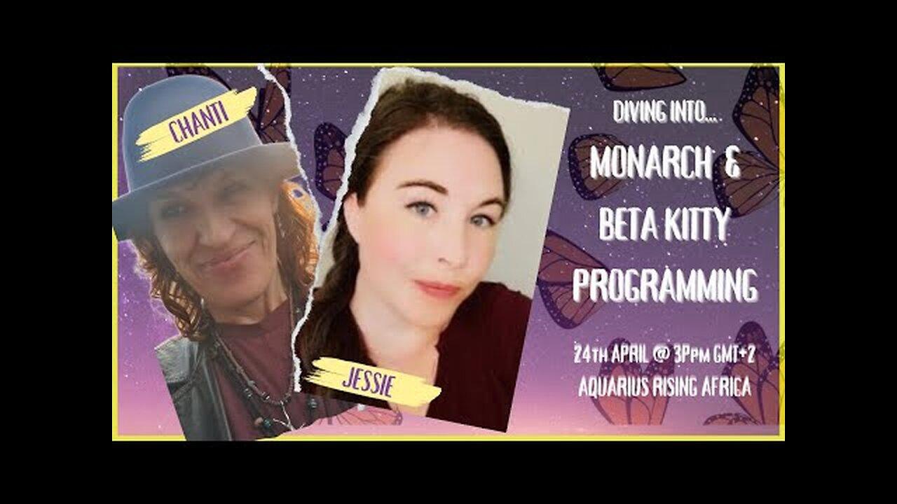 LIVE with JESSIE CZEBOTAR .... DIVING INTO MONARCH AND BETA KITTY PROGRAMMIMG