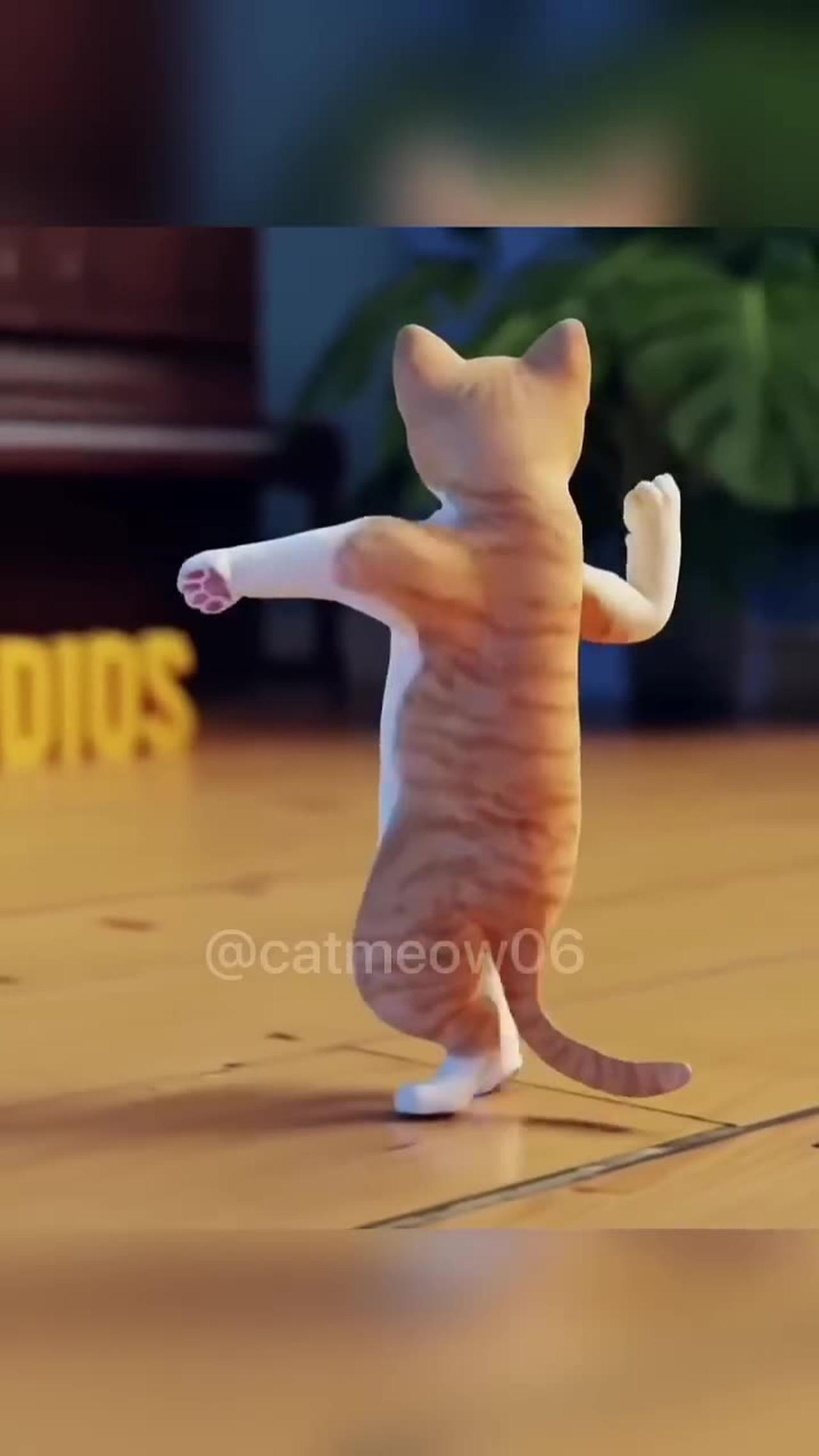 Cat dance viral pofom