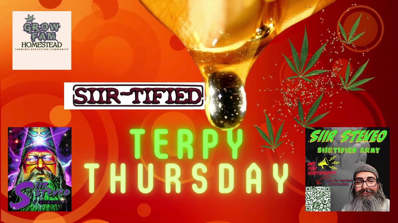 SIIRTIFIED TERPY THURSDAYS WITH SIIR STEVEO  EPISODE 21 ASHLEY HUFFMAN