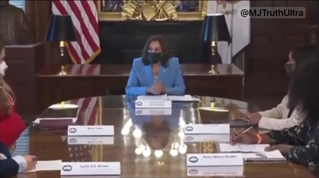 Kamala Harris, my pronouns are she/her, I am a woman sitting at the table wearing a blue suit
