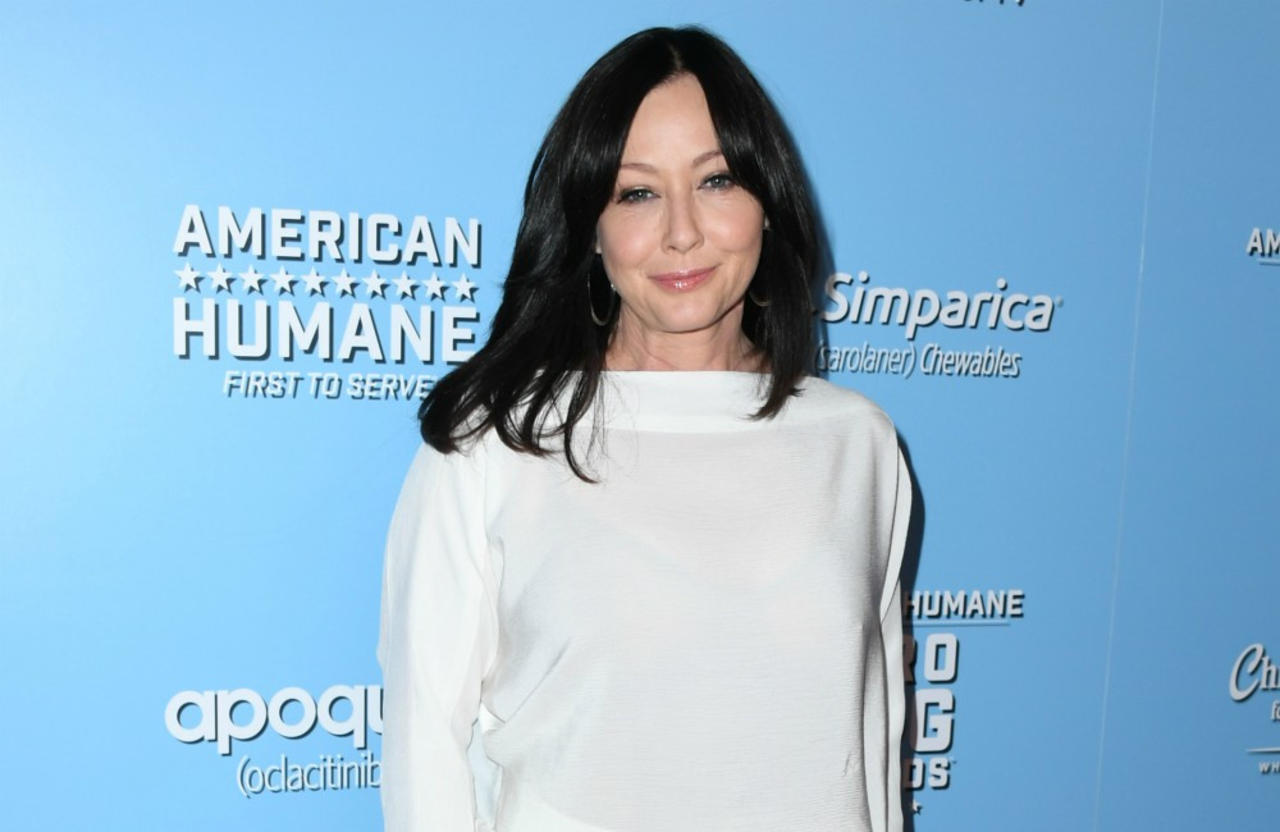 Shannen Doherty wants to find a boyfriend who doesn't feel intimidated by her 'status'