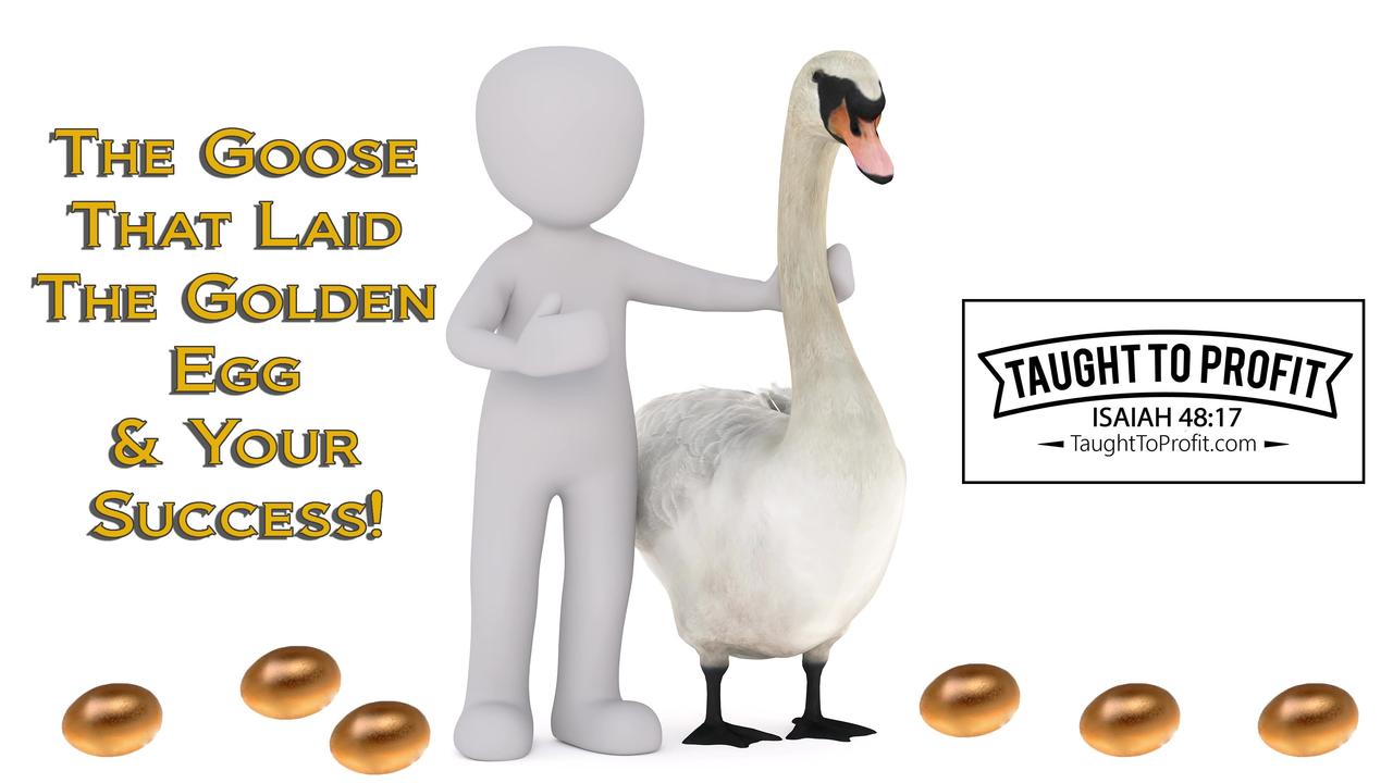 Are You Buying Golden Eggs Or The Goose That Lays Them？ The Goose And Your Success!