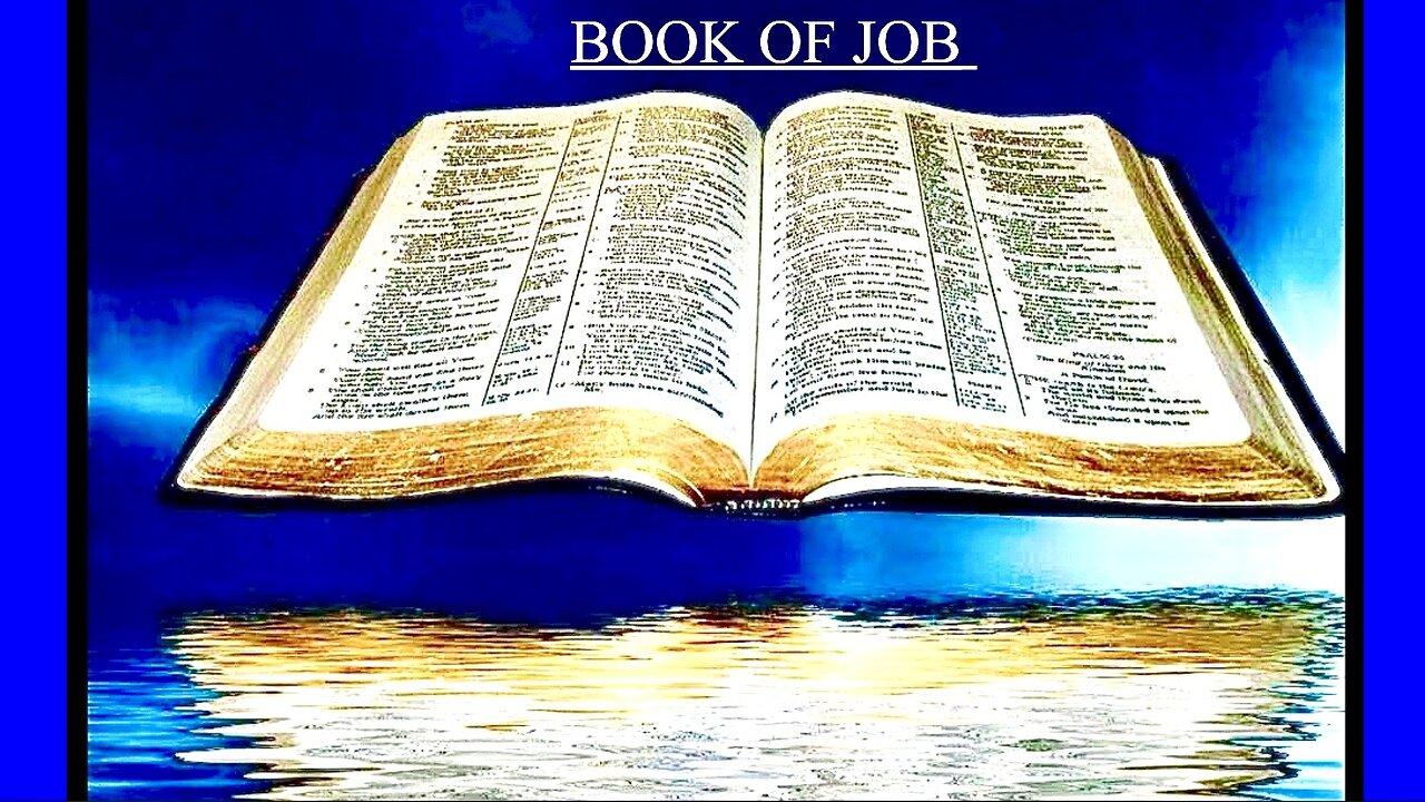 BOOK OF JOB CHAPTER 30