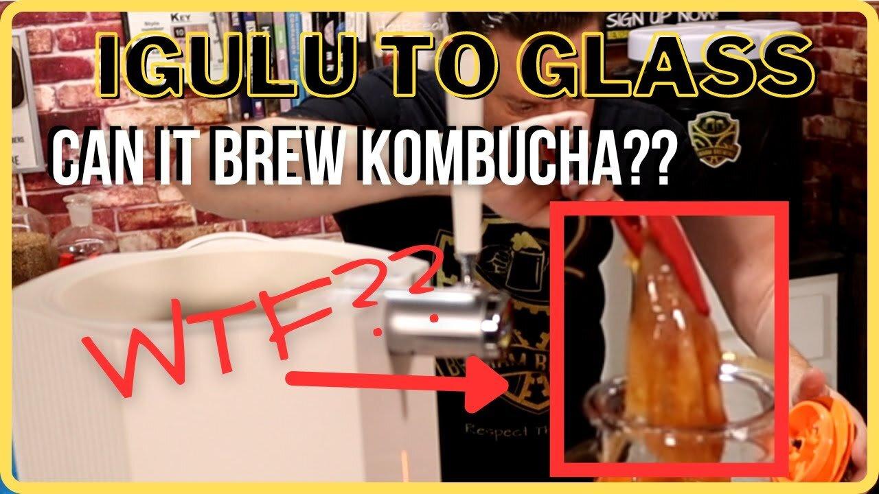 iGulu to Glass: How to Make Kombucha using the iGulu Automated Beer Brewer