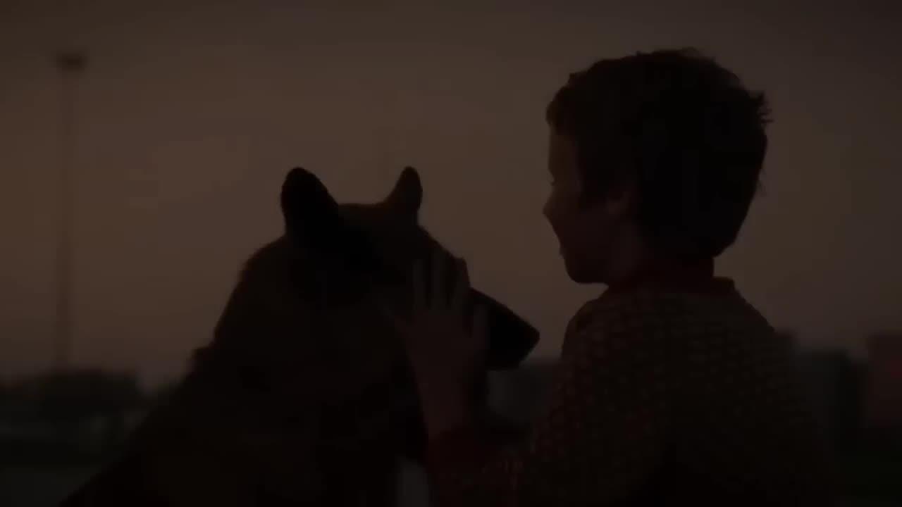 A Dog Named Palma | Movie Explained in Hindi | Sad & Emotional Movie