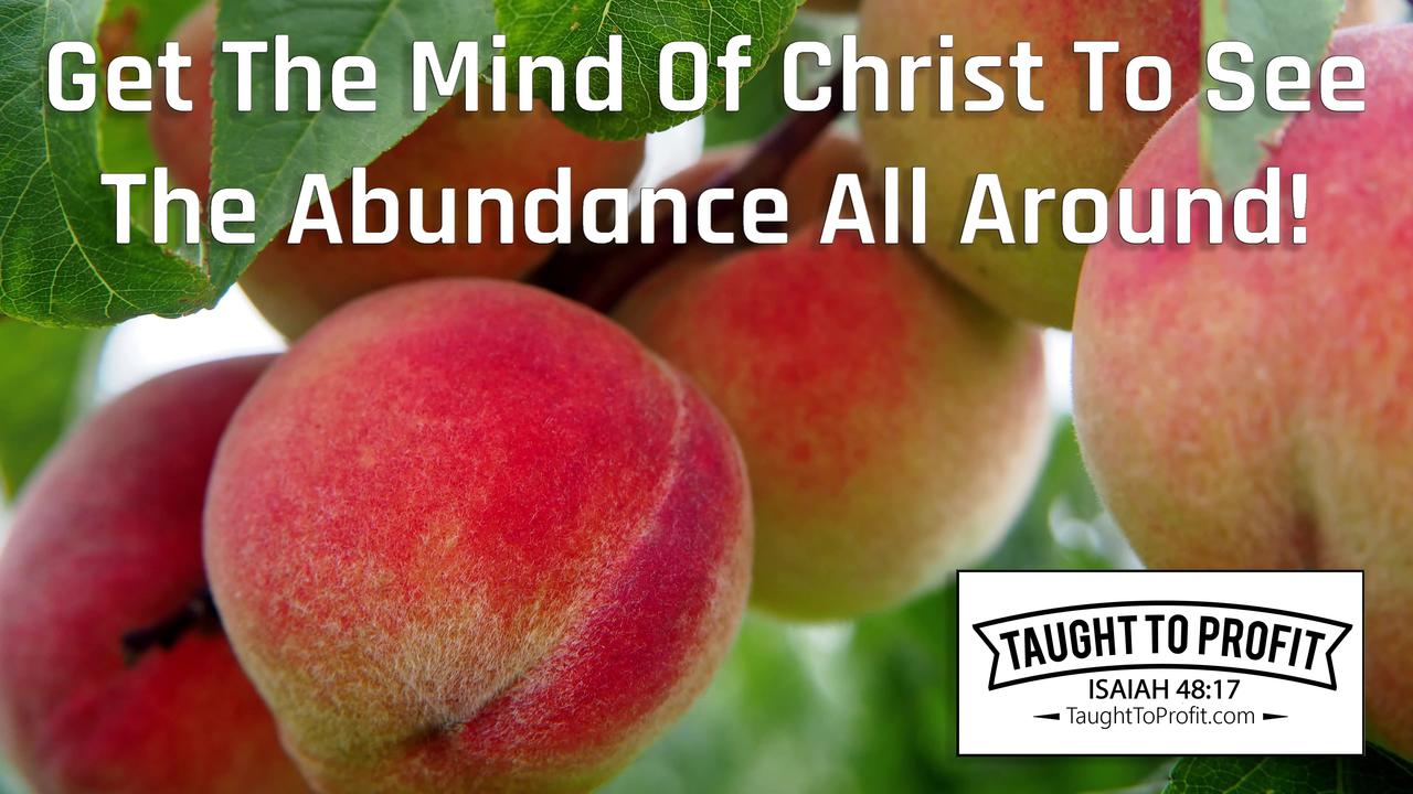 Get The Mind Of Christ To See The Abundance All Around!