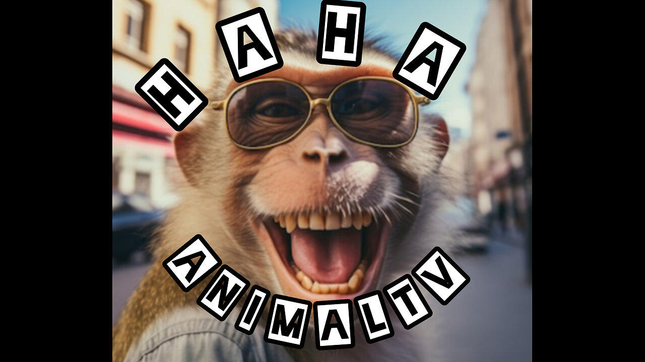 HAHA AnimalTV- Part 8😂🥀