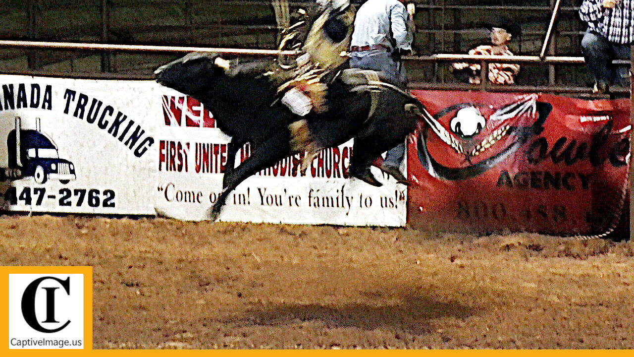 Bull Riding - 89.5 point ride & Fireworks - 2023 Wellington Pro Rodeo | Saturday
