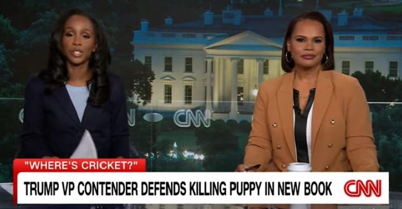 Noem's confession she killed family puppy shocks dog trainer, CNN panel