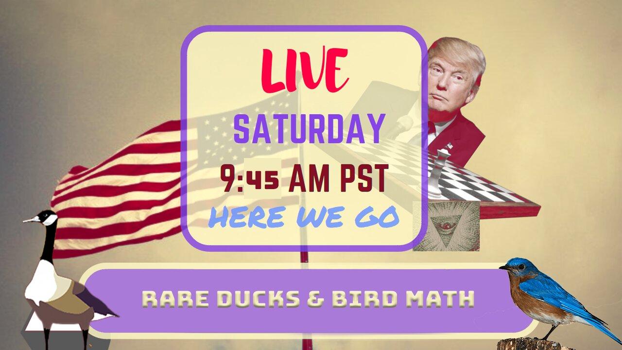 Saturday *LIVE* RARE DUCKS & BIRD MATH Edition