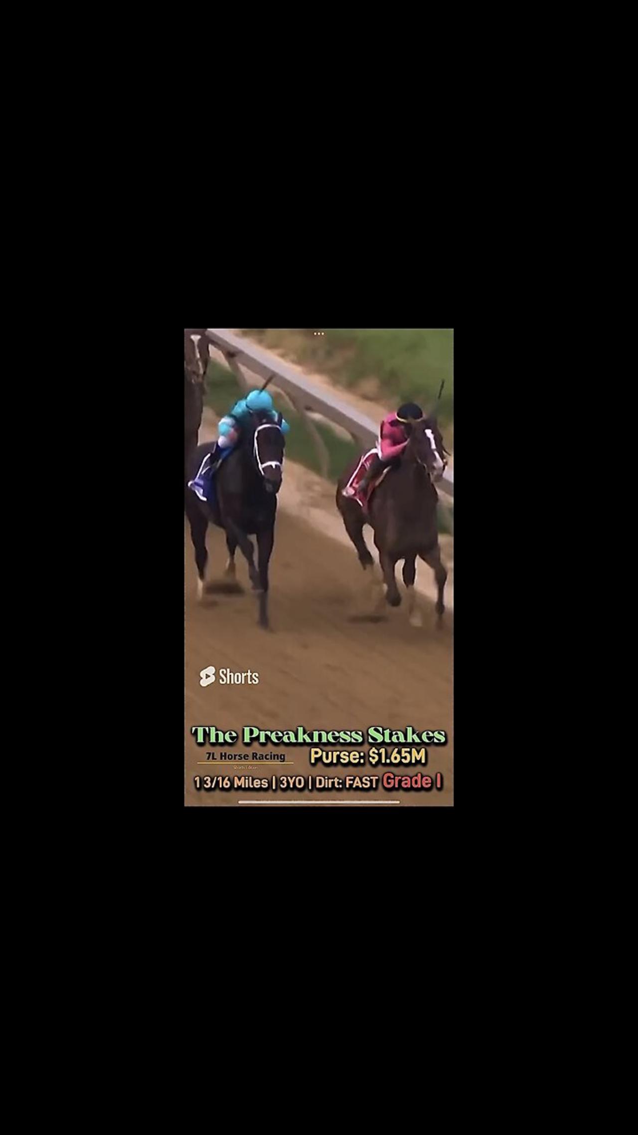 The Preakness Stakes 2019 -G1