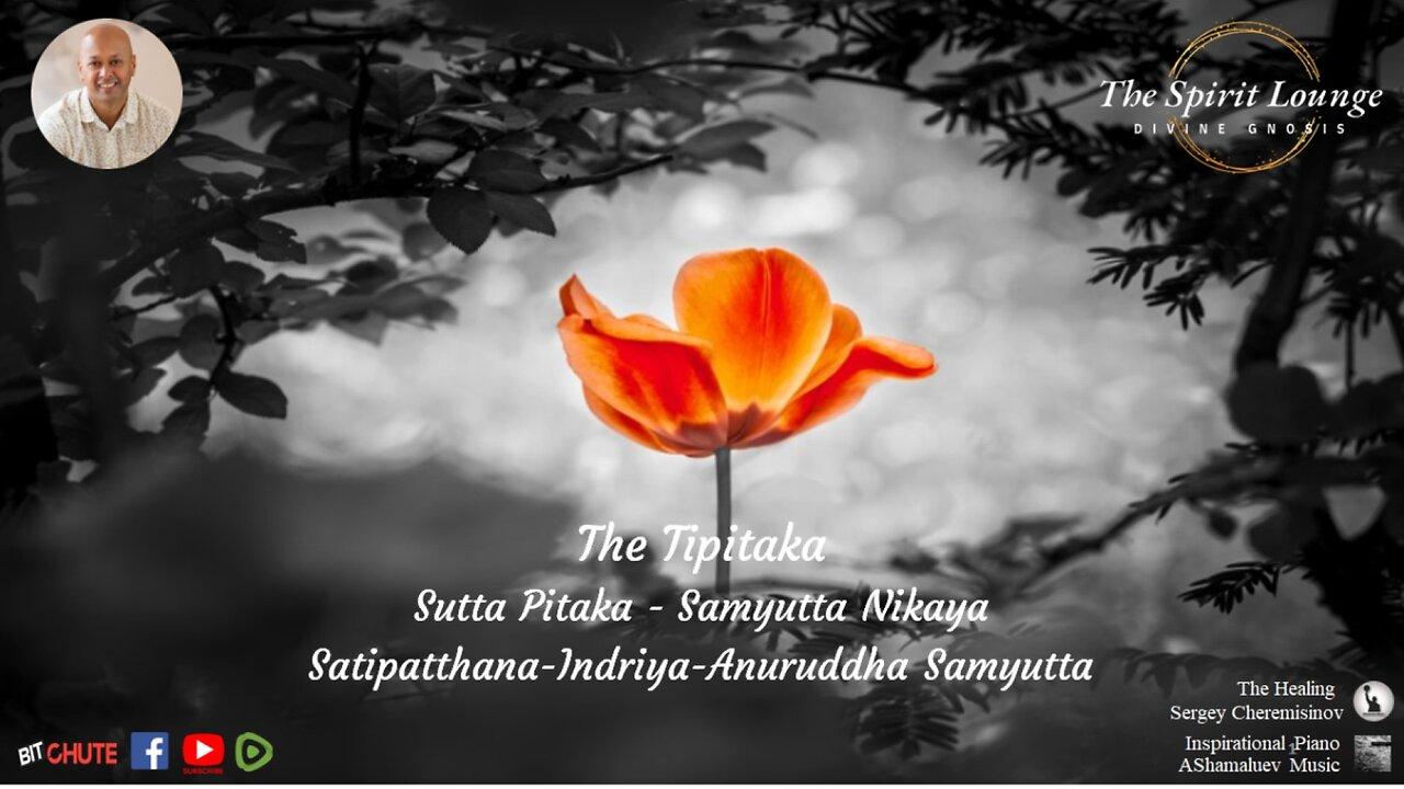 The Tipitaka: Sutta Pitaka - Samyutta Nikaya: Satipatthana-Indriya-Anuruddha Samyutta