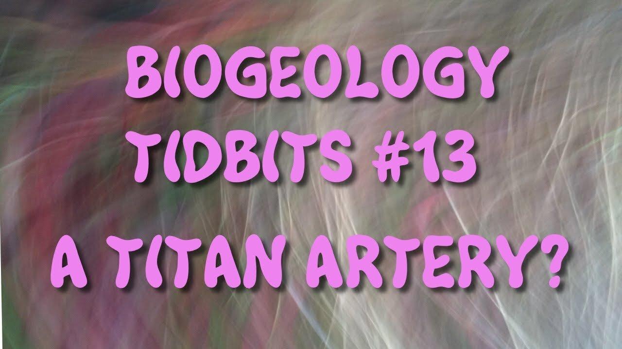 Notizie di biogeologia n.13 - Un'arteria di titano?