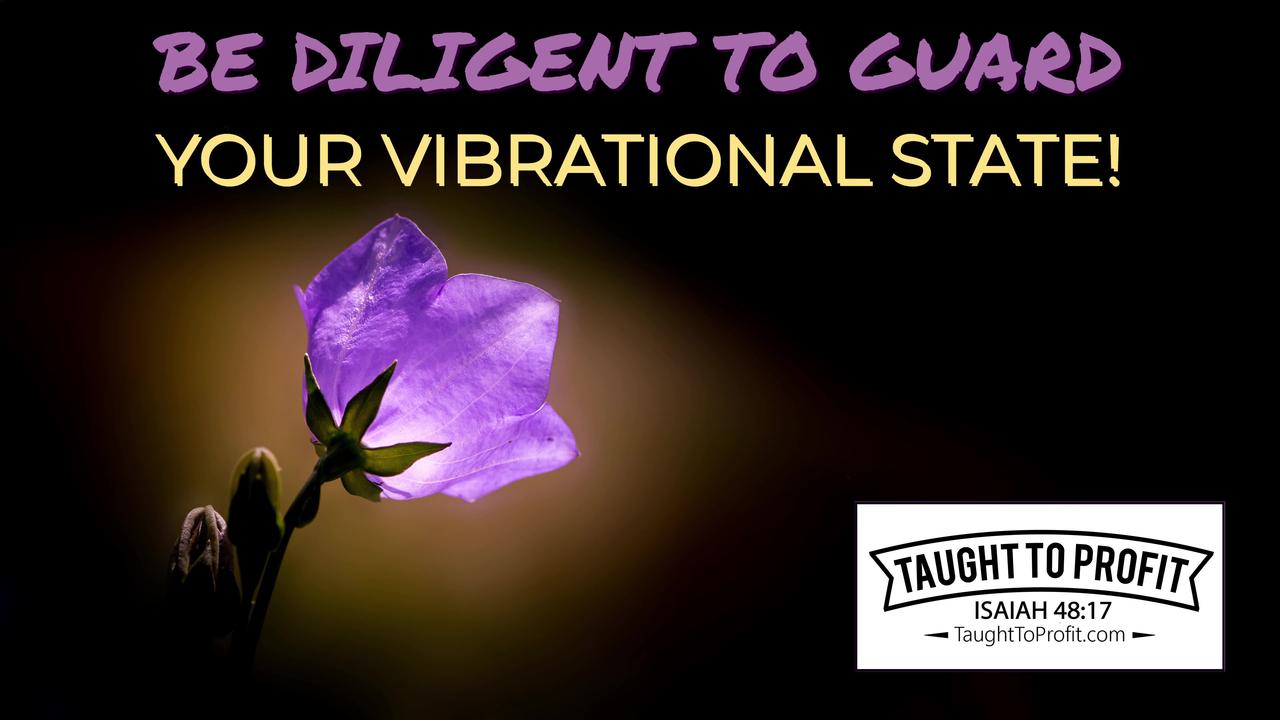 Be Diligent To Guard Your Vibrational State!