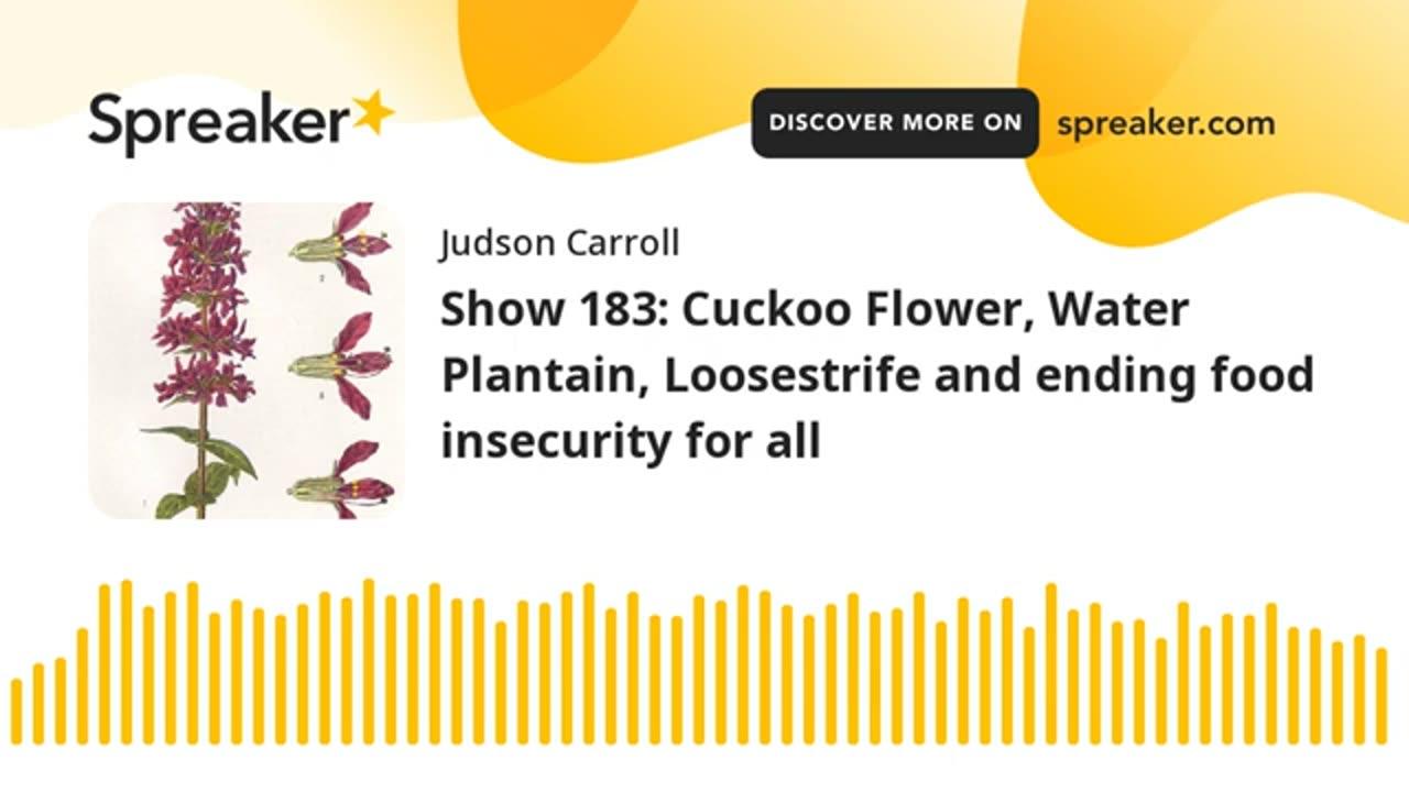 Show 183: Cuckoo Flower, Water Plantain, Loosestrife and ending food insecurity for all