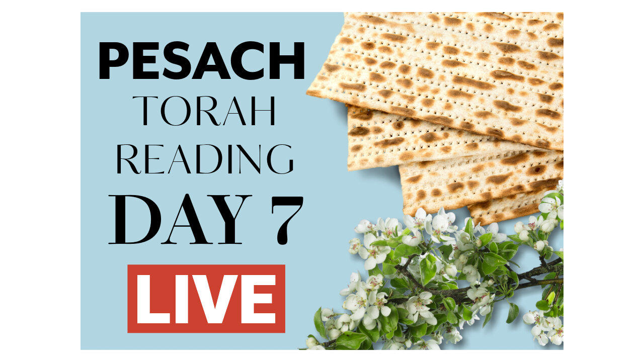 Pesach - Day 7 - Torah Reading - Live Q&A