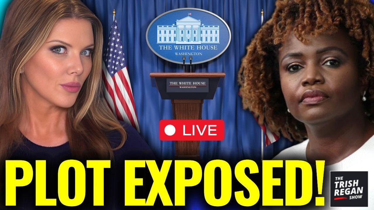 BREAKING: Explosive Claims! White House Under Fire for Alleged Secret Plot to Oust Prominent Figure